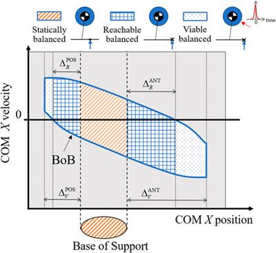A Computational Framework Towards the Tele-Rehabilitation of Balance Control Skills